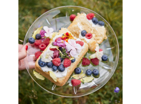 Sagaform Picknick-Tellerchen 4er-Pack Werbeartikel