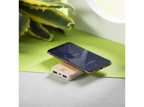 Power Bank Merak bedrucken
