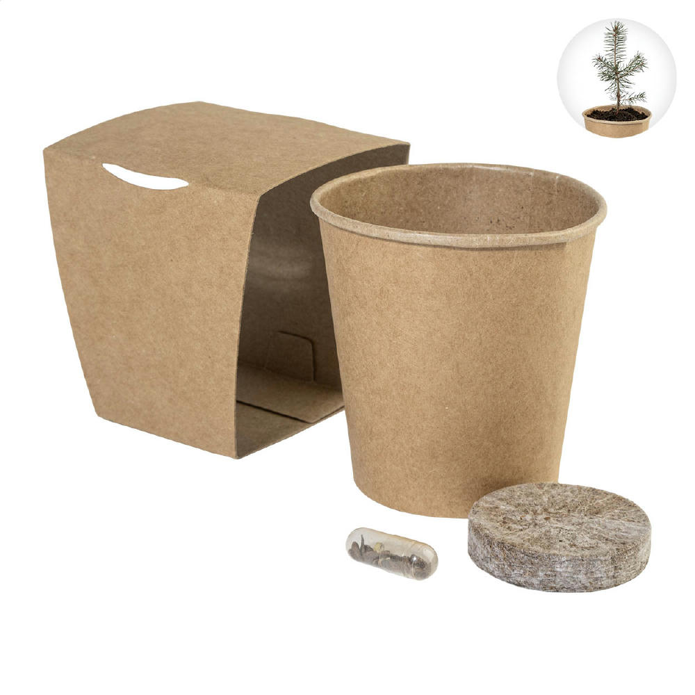 Product image Tannenbaum-Anzuchtset MerryGrow Werbeartikel
