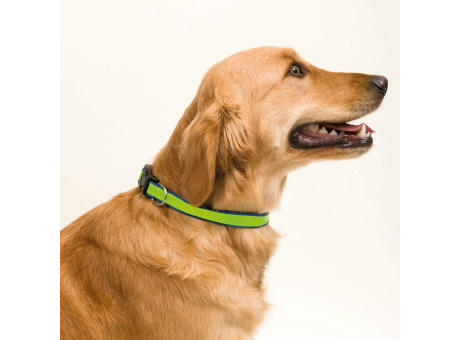 Hundehalsband Muttley Werbeartikel