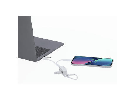Ladegerät USB Hub Leony Werbeartikel