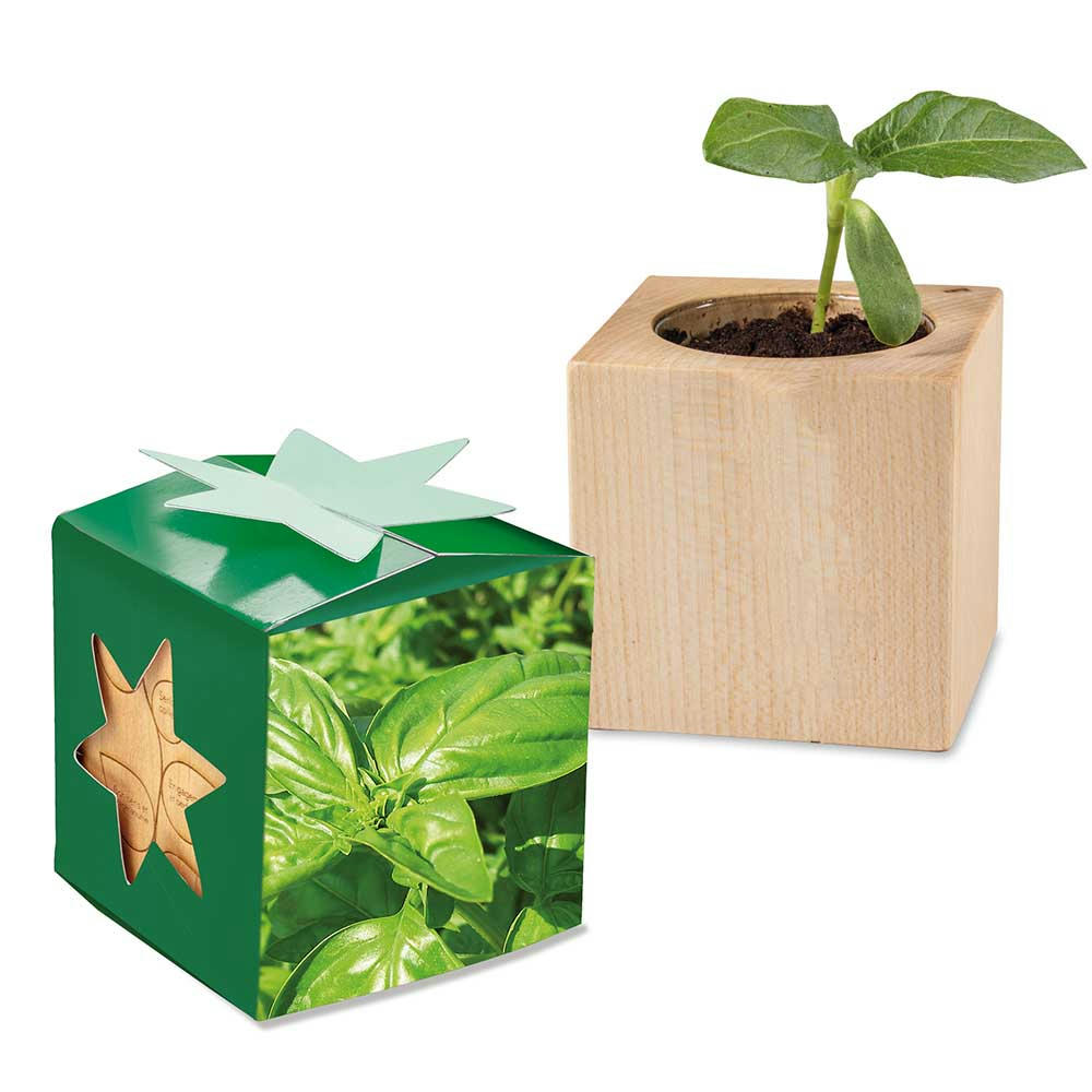 Product image Pflanz-Holz Star-Box mit Samen - Basilikum Werbeartikel