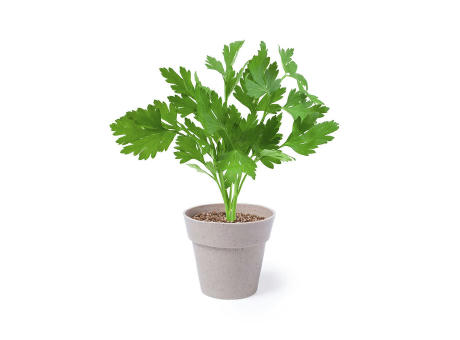 Blumentopf Set Nertel Werbeartikel