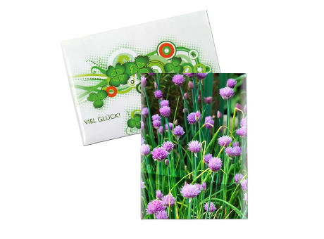 Samentütchen Mini - Standardpapier - Petersilie Werbeartikel