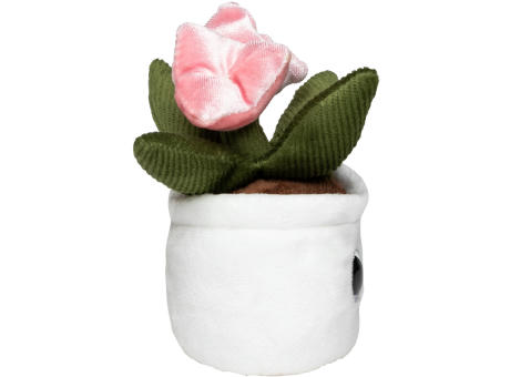 Schmoozies® Evergreenies® Tulpe Werbeartikel