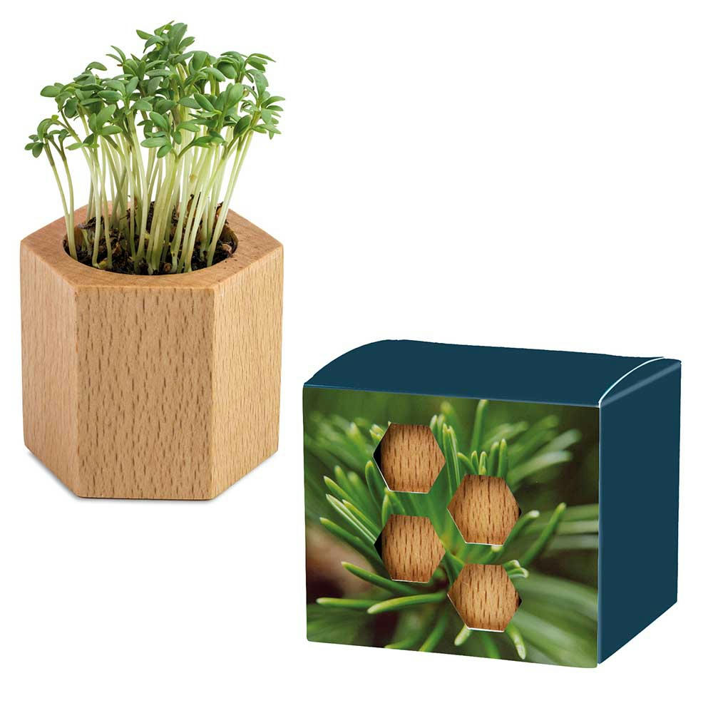 Product image Pflanz-Holz Hexagon mit Samen - Fichte Werbeartikel
