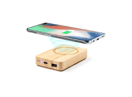 Power Bank Dobson bedrucken
