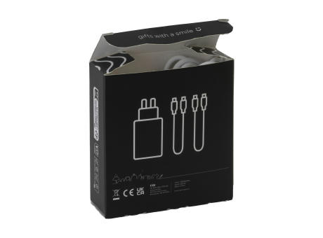 2-in-1 RCS Cable Charging Set Ladegerät-Set Werbeartikel