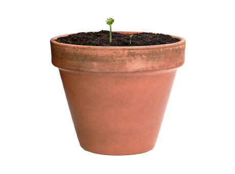 Bonbon-Samen Mussox Werbeartikel