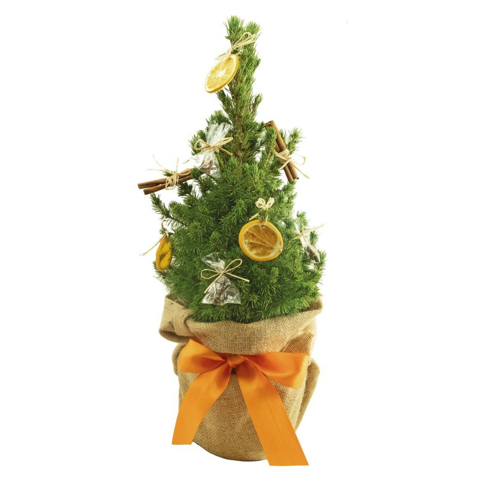 Product image Winterduft-Bäumchen 35-45 cm Werbeartikel