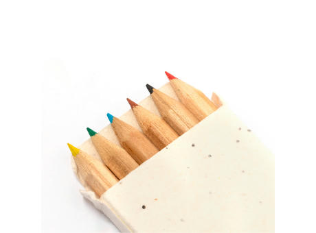 Samen Bleistiftbox Delar Werbeartikel