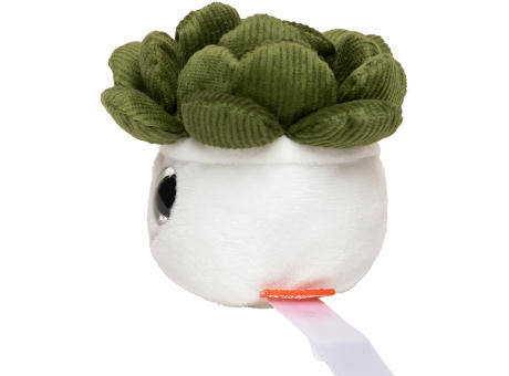 Schmoozies® Evergreenies® Sukkulente Werbeartikel