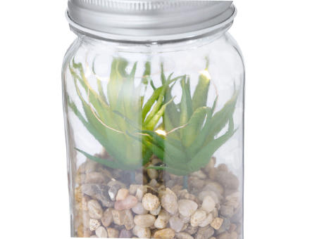 Dekorpflanze Kyala Werbeartikel