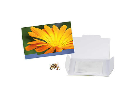 Flower-Card mit Samen - Basilikum Werbeartikel