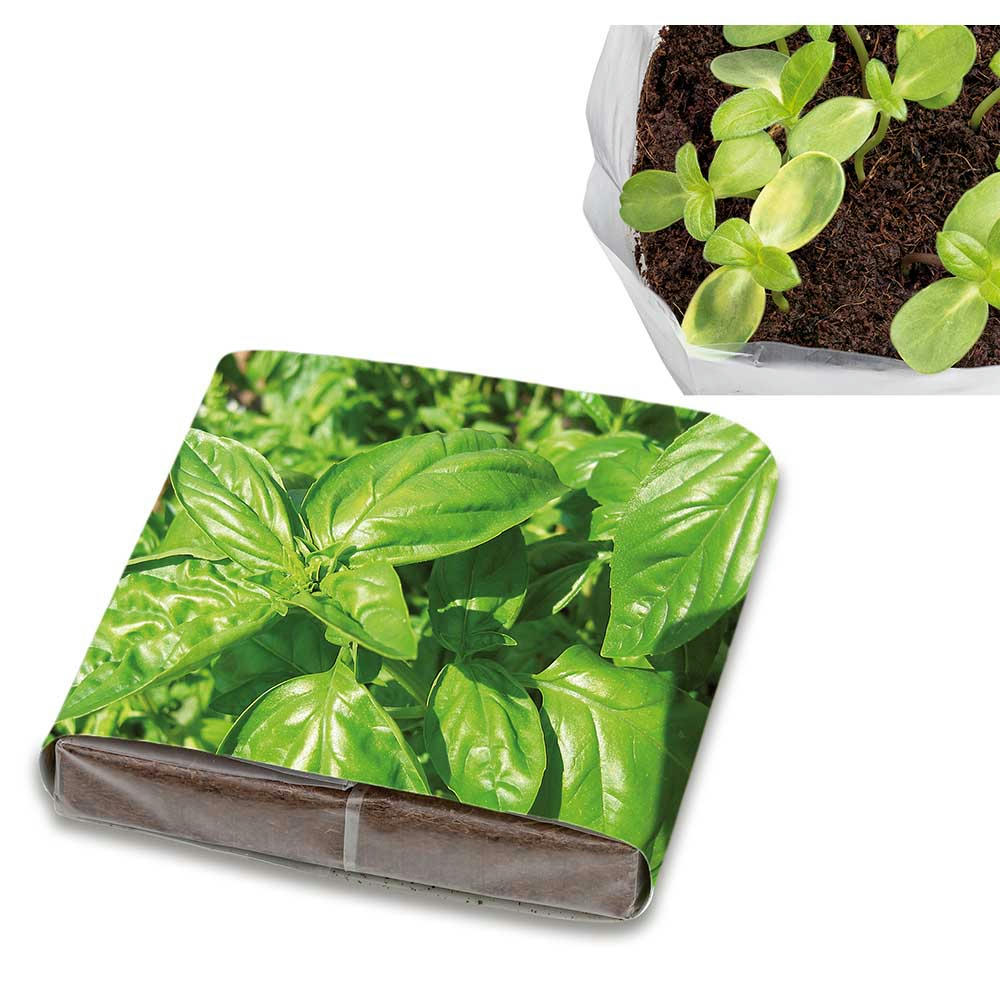 Product image PopUp Anzuchterde mit Samen - Basilikum Werbeartikel