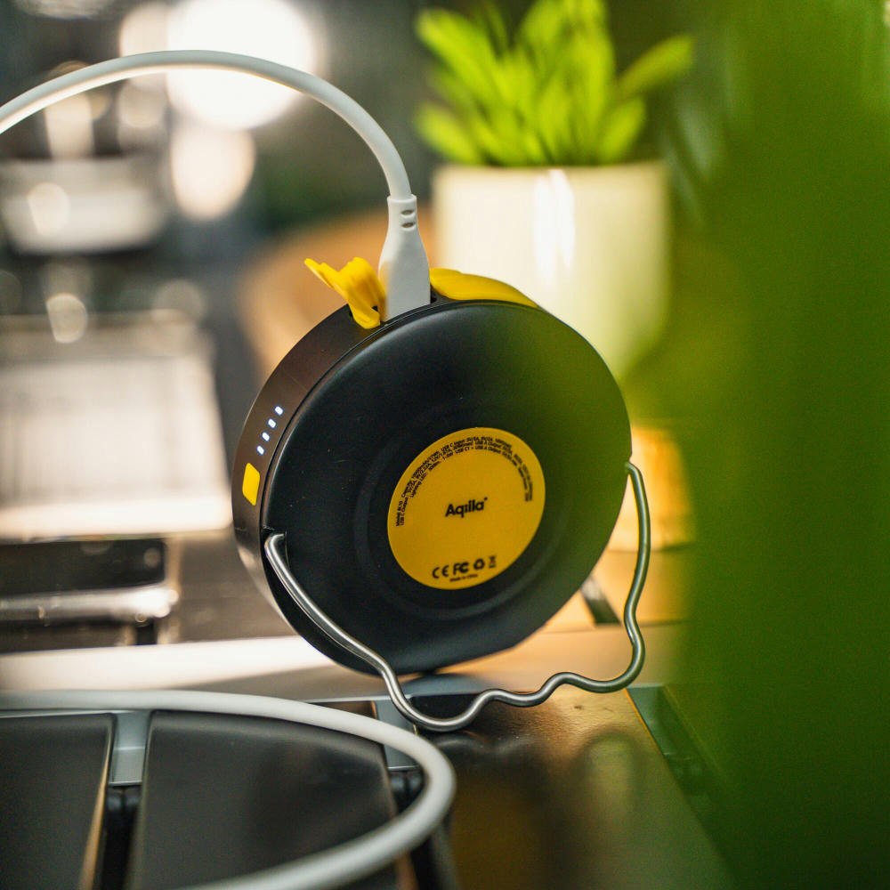 Aqiila Powerbird BL10 Taschenlampe und Powerbank 10.000 mAh  Werbeartikel