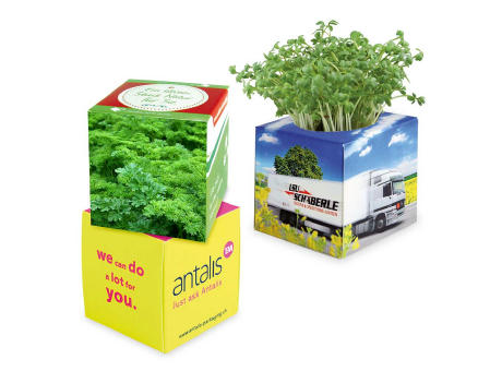 Product image Pflanz-Würfel 2.0 mit Samen - Ostern - Eierbaumsamen Werbeartikel