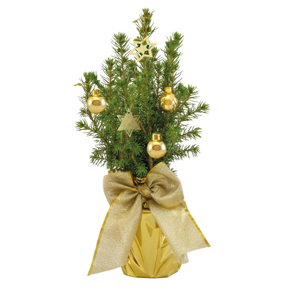 Product image Gold-Bäumchen 20-30 cm Werbeartikel