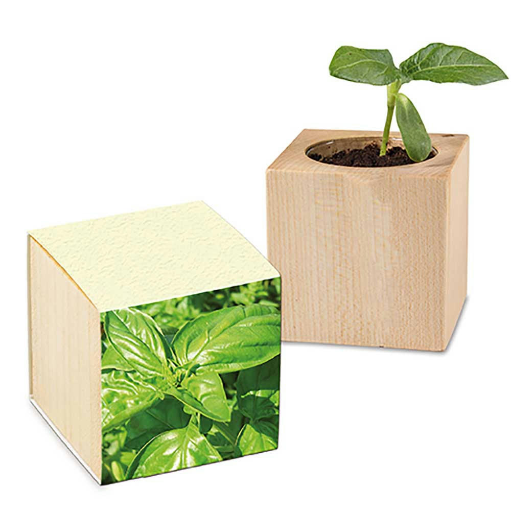 Product image Pflanz-Holz mit Samen (Graspapier-Banderole) - Basilikum Werbeartikel