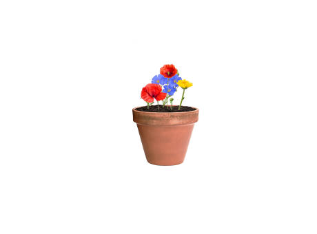 Pflanz-Set Flocca Werbeartikel