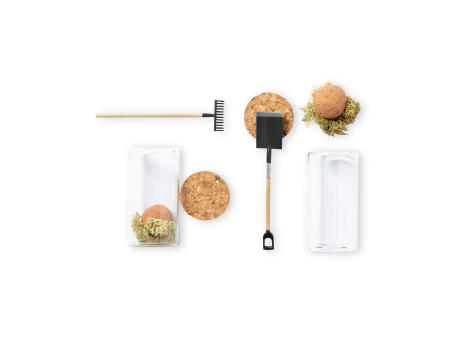 Bonbon-Samen Winsu Werbeartikel