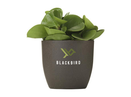 Coffee Flowerpot Blumentopf Werbeartikel