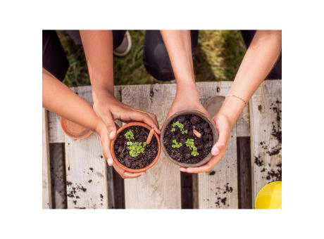 Sproutworld Sharpened Pencil Bleistifte angespitzt Werbeartikel