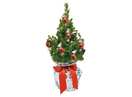 Product image Schokotraum-Bäumchen 35-45 cm Werbeartikel