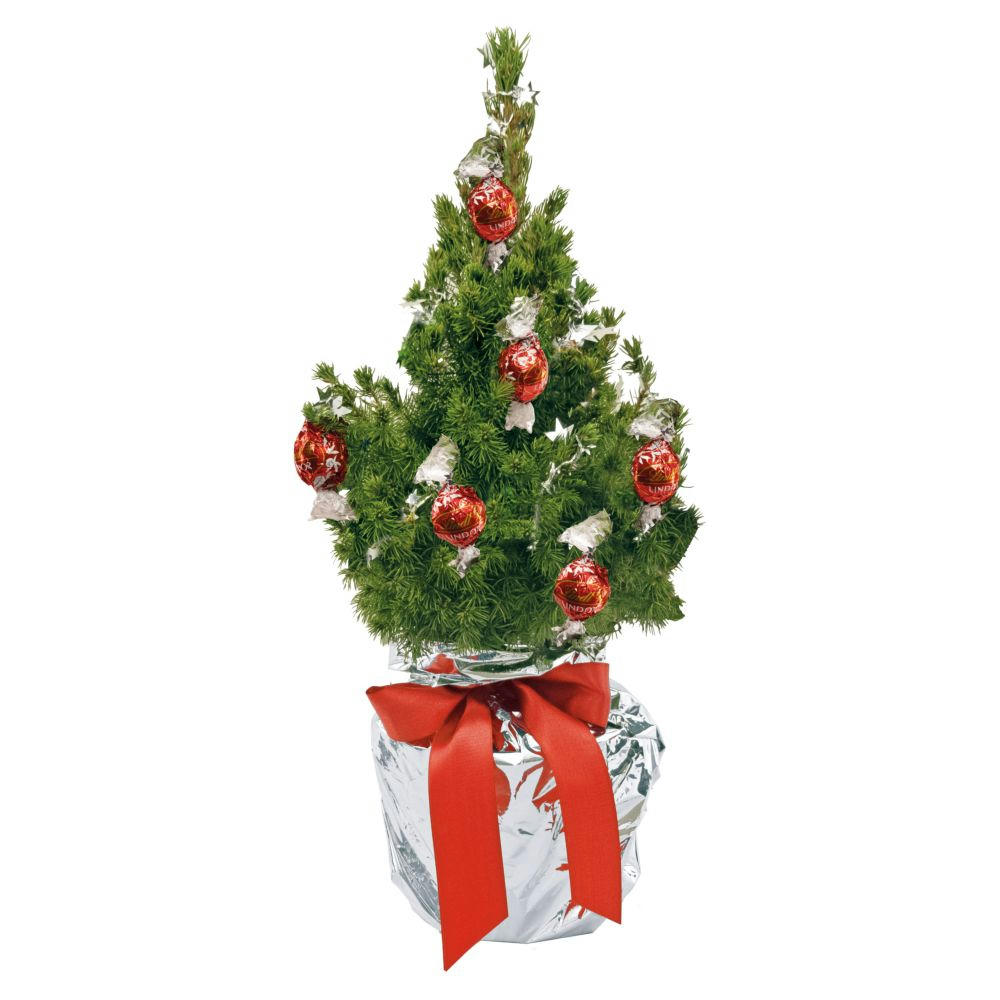 Product image Schokotraum-Bäumchen 35-45 cm Werbeartikel