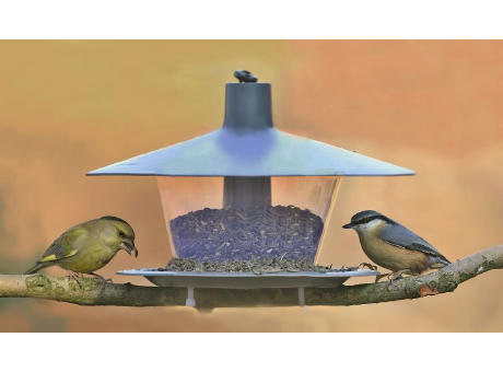 BIRDIE Vogel Futterhaus Made in Europe Werbeartikel