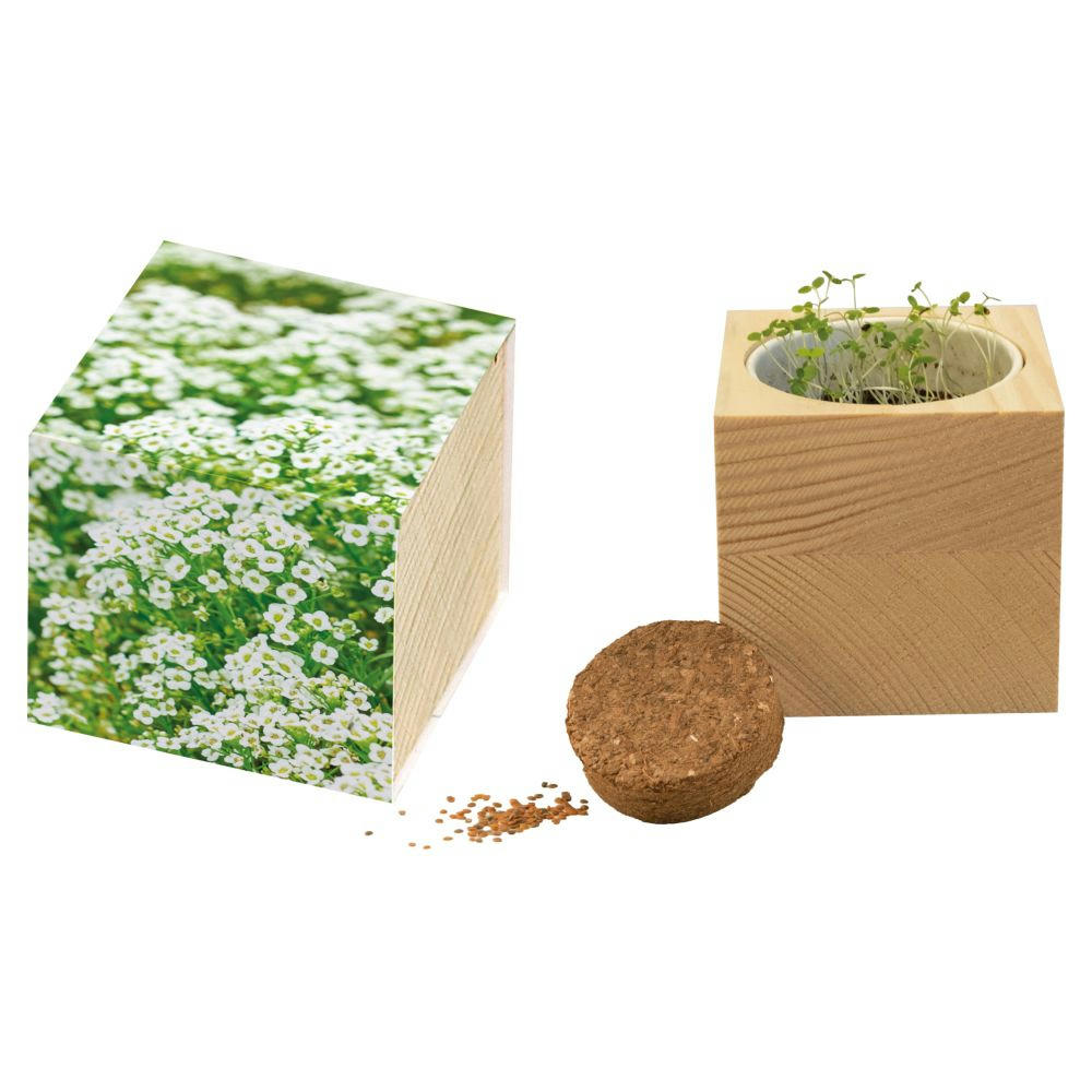Product image Großer Natur-Würfel Schneeteppich Werbeartikel