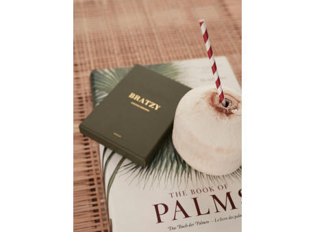 VINGA Bratzy Tischspiel Werbeartikel