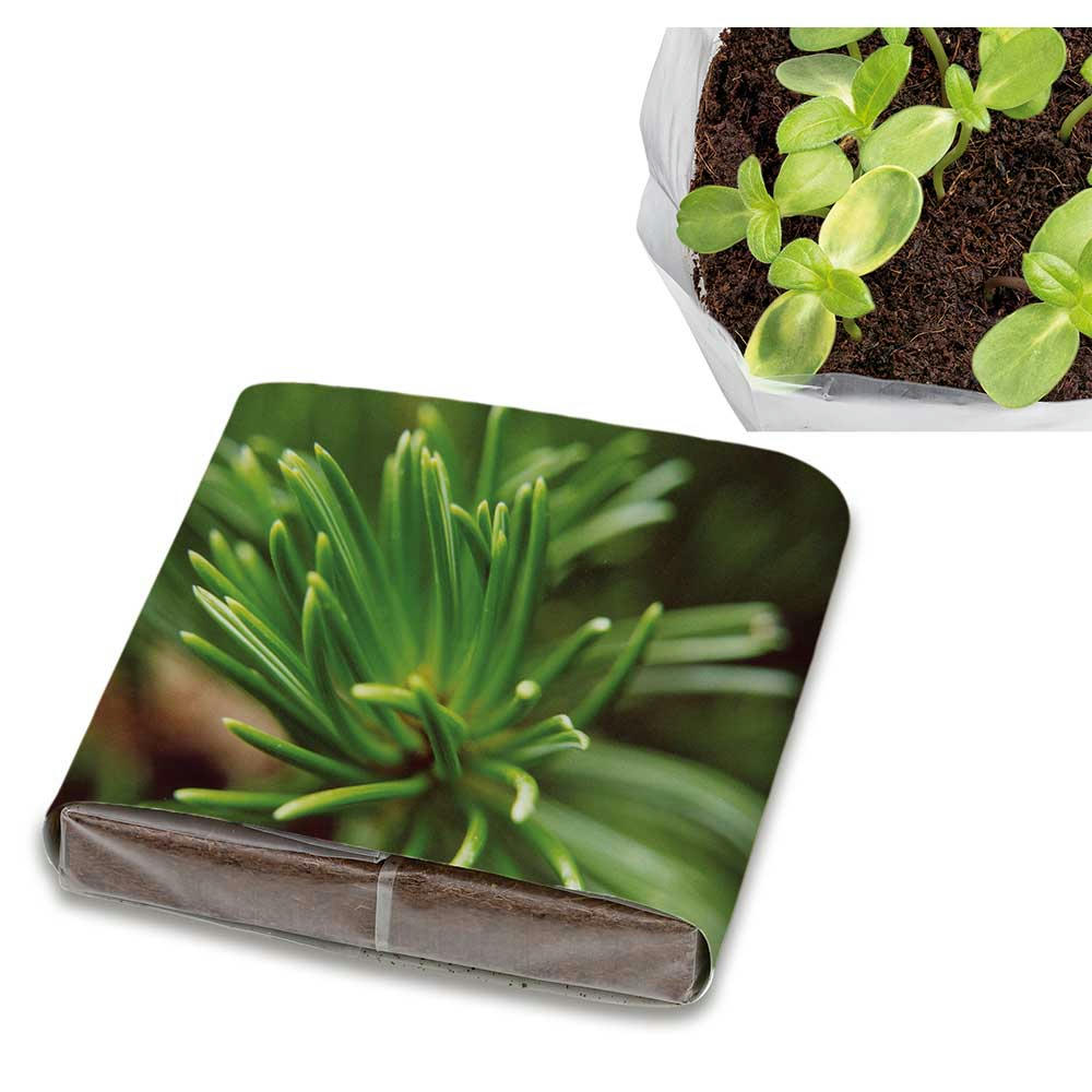 Product image PopUp Anzuchterde mit Samen - Basilikum Werbeartikel