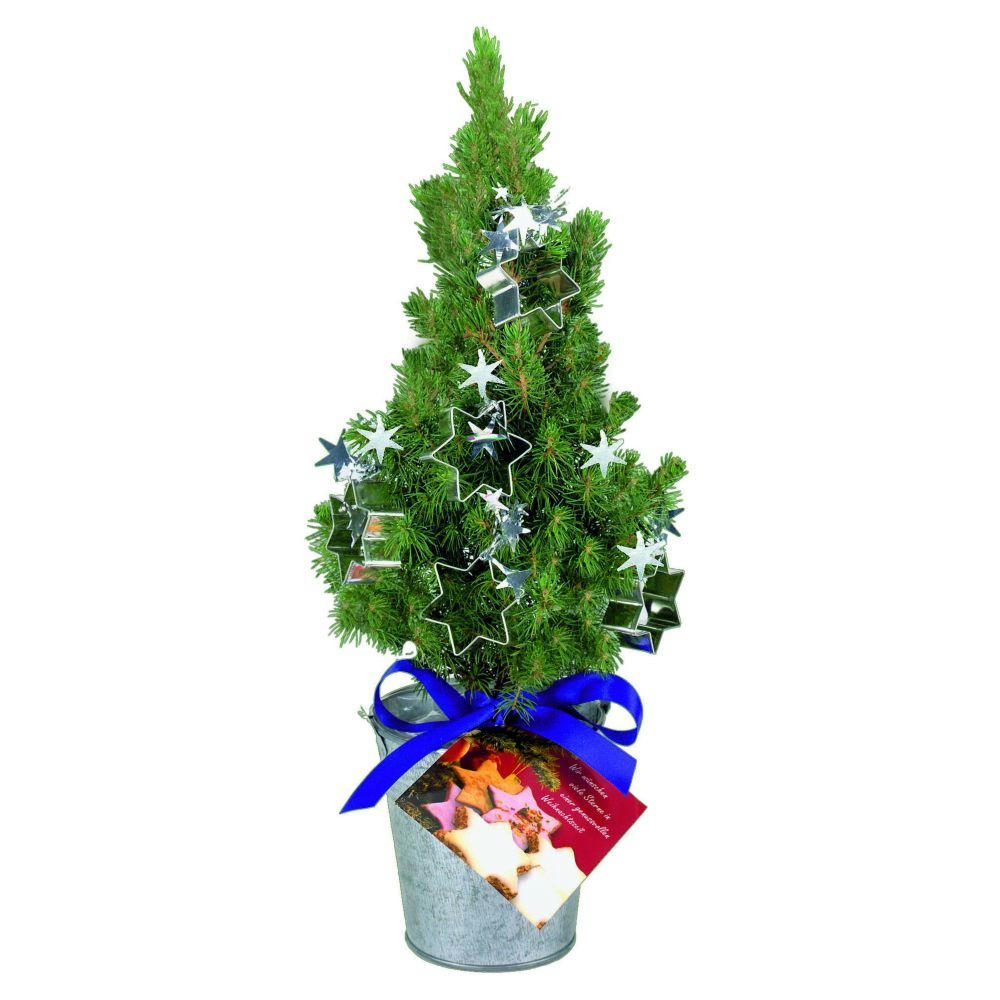 Product image Backförmchen-Bäumchen 20-30 cm Werbeartikel