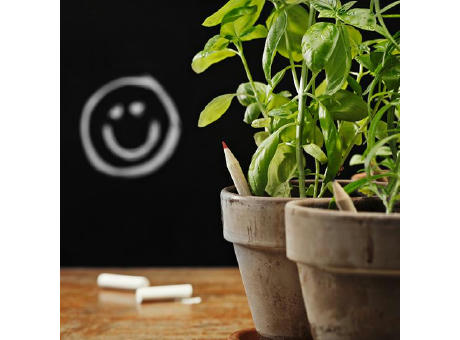 SPROUT - Multifarbstift mit Etui Standard Werbeartikel