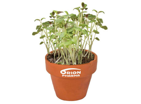 Logo-Töpfchen Komplettbanderole mit Samen - Schnittlauch Werbeartikel