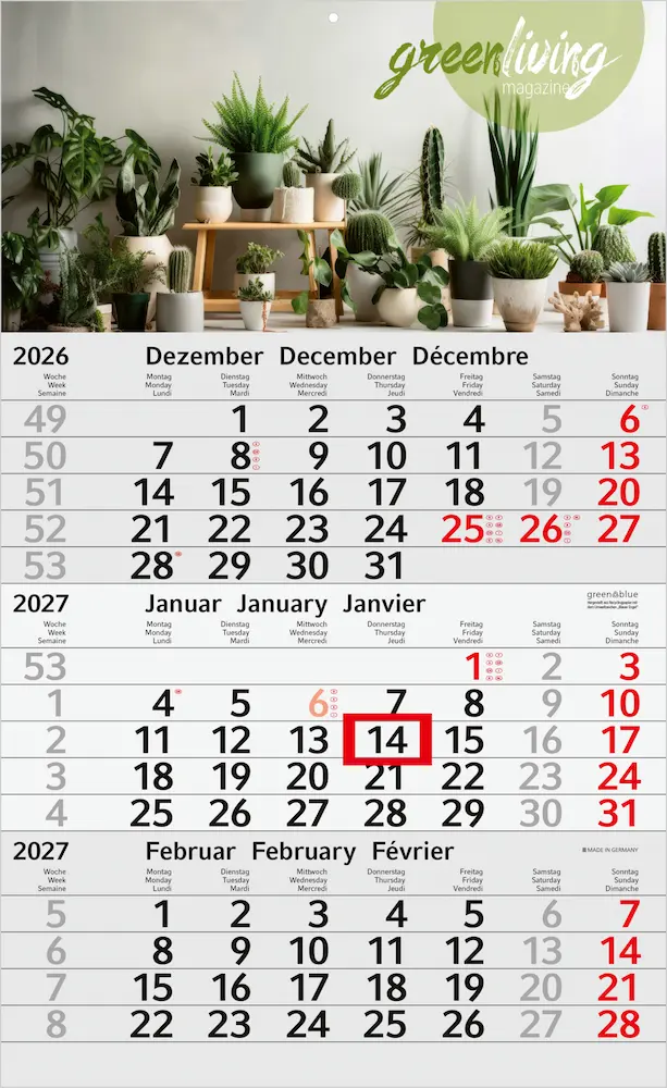3-Monatskalender Budget 3 Recycling (Einblatt) 3-Monatskalender Budget 3 Recycling (Einblatt)