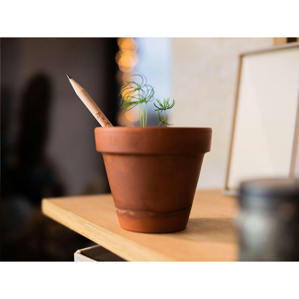 Sproutworld Unsharpened Pencil Bleisstift ungespitzt Werbeartikel