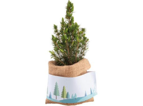 Weihnachtsgruß-Bäumchen Werbeartikel