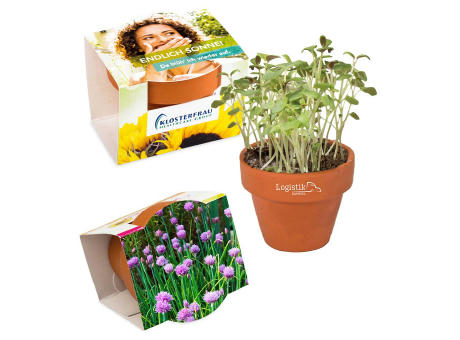 Product image Logo-Topf mit Samen - teracotta - Petersilie Werbeartikel