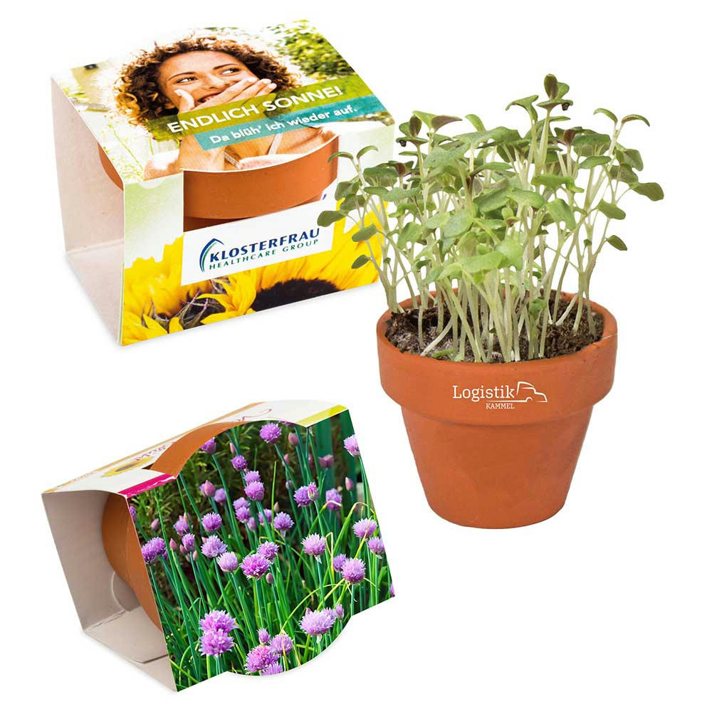 Product image Logo-Topf mit Samen - teracotta - Petersilie Werbeartikel