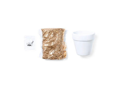 Blumentopf Konte Werbeartikel