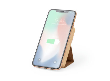 Power Bank Dobson bedrucken
