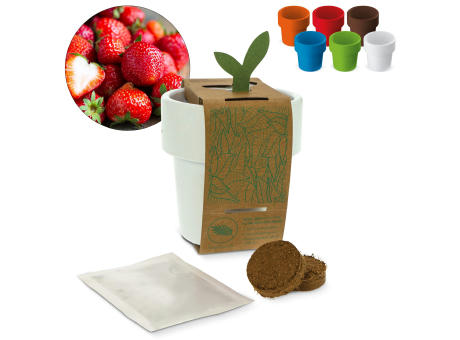 Hot-but-cool Tasse mit Erdbeersamen Werbeartikel