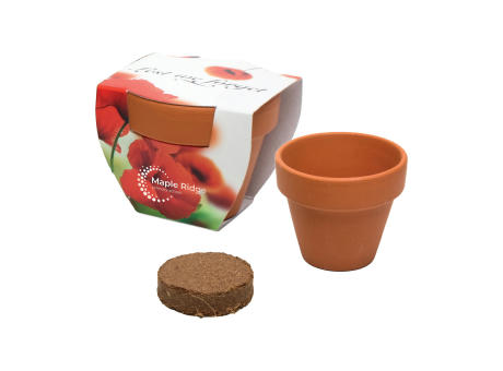 Growing Kit with Sleeve Werbeartikel