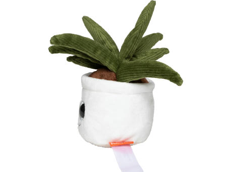 Schmoozies® Evergreenies® Aloe Vera Werbeartikel