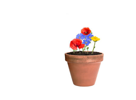 Samenkugel Flobba Werbeartikel