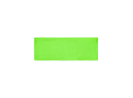 grün/neon (bright-green)