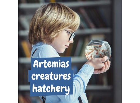 Jurassic Pets Kit II. Lernspiel lieferung inklusive einer kraftpapiertasche (115 g/m²), aus FSC™-zertifiziertem Material und anderen kontrollierten Materialien hergestellt Werbeartikel