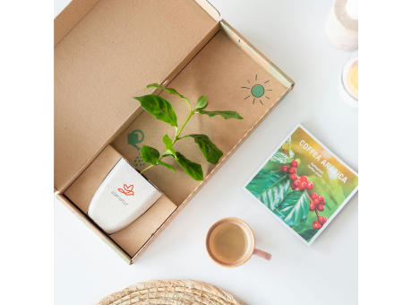 Treemore Briefkastenbäume Kaffeebaum Werbeartikel